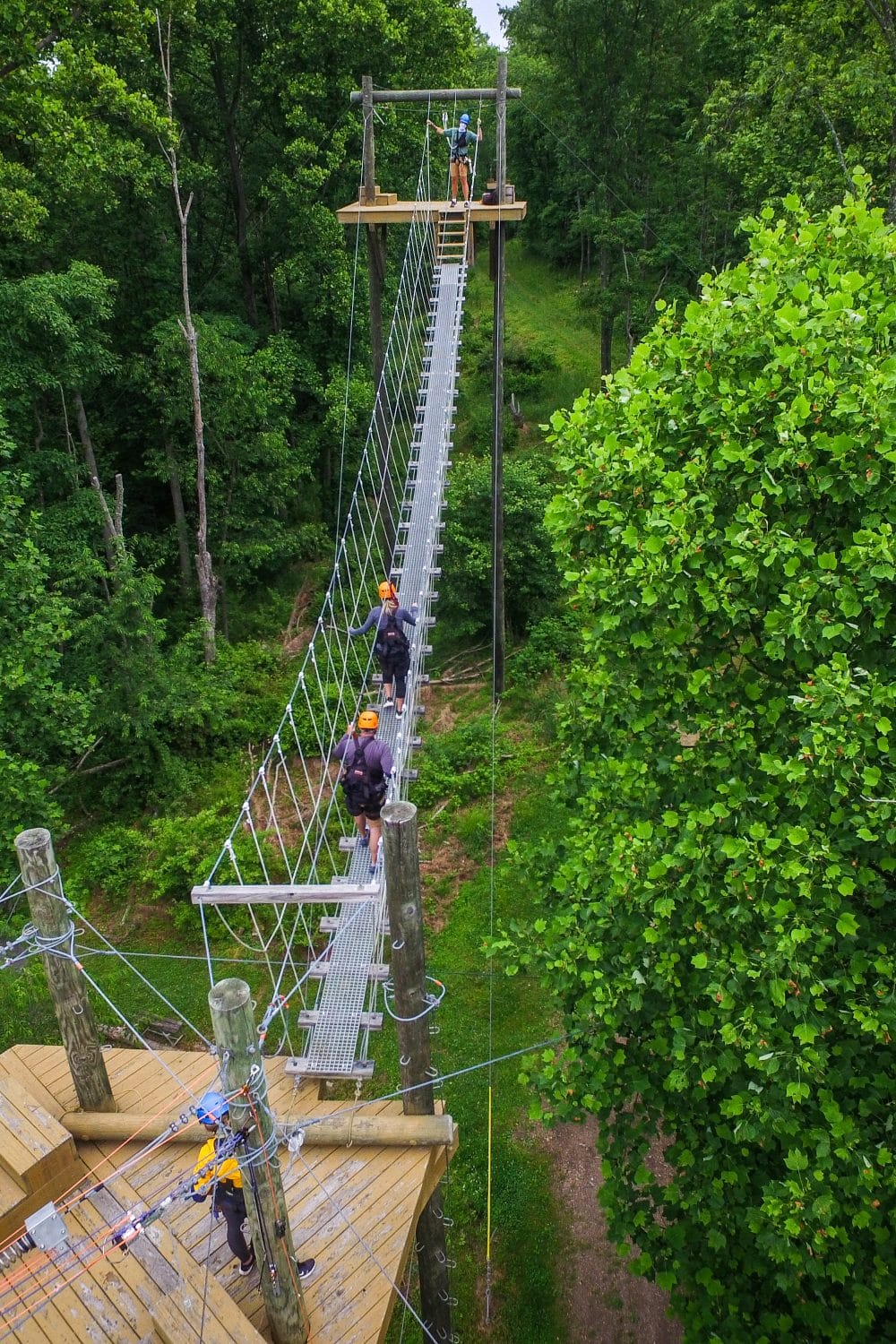 Canopy bridge as seen from above at Grand Vue Adventures