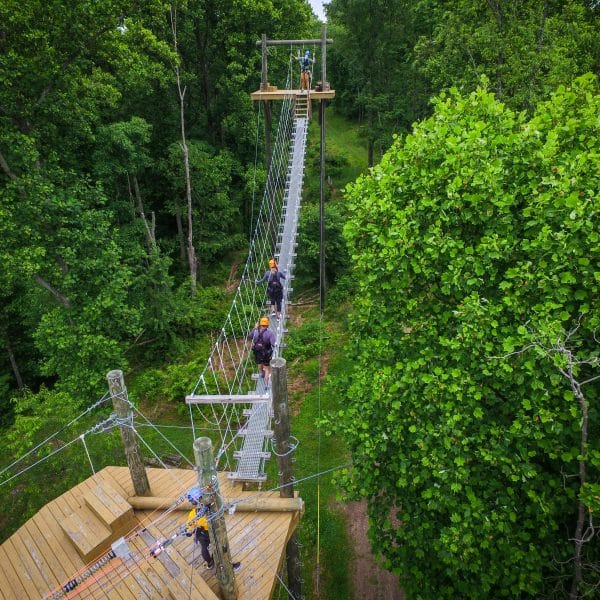 Canopy bridge as seen from above at Grand Vue Adventures